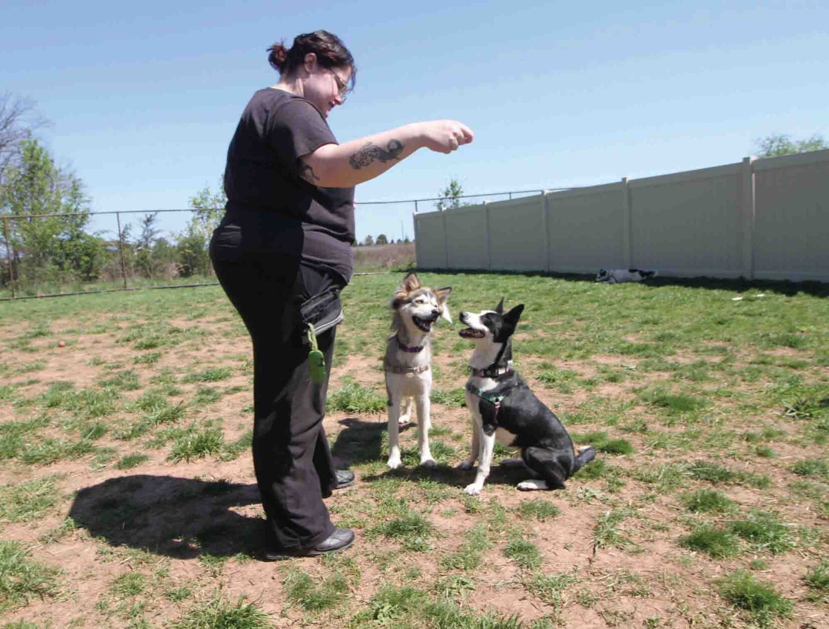 Julianna Massielo with Raven and Jazzy.JPG